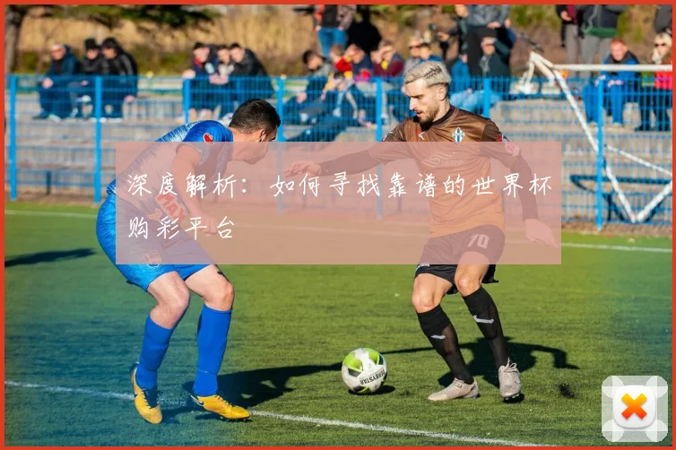 深度解析：如何寻找靠谱的世界杯购彩平台